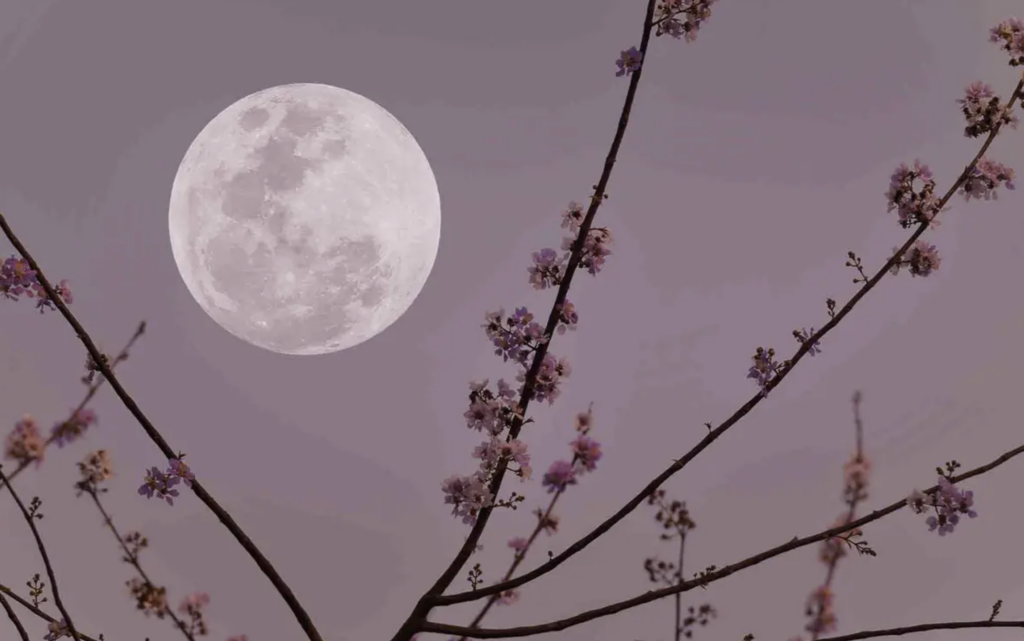 Blue Moon