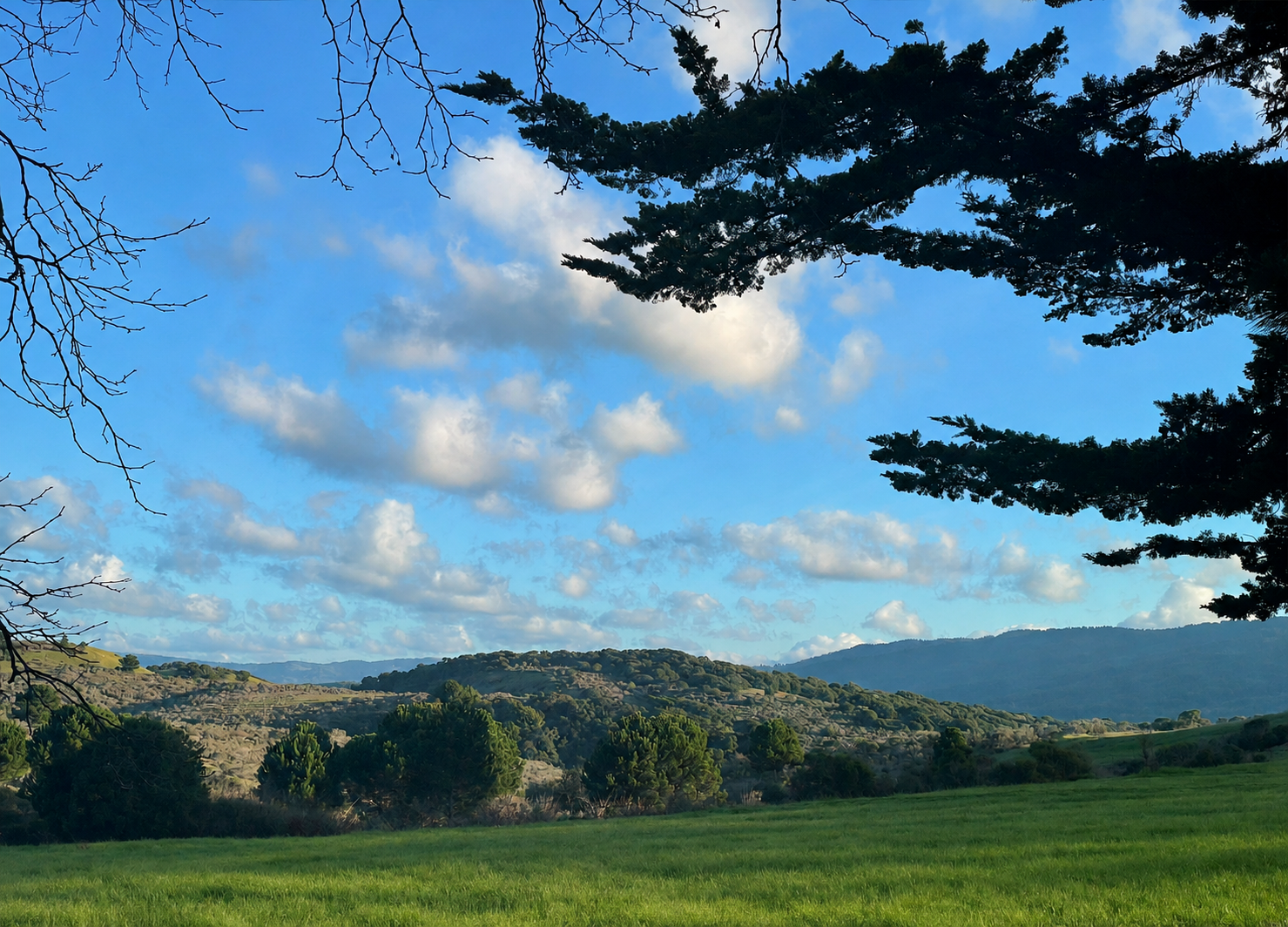 Hallmark Park open space and hills in Belmont, California