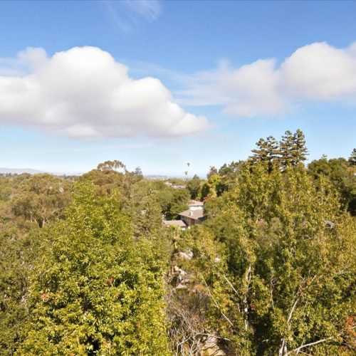 31-View