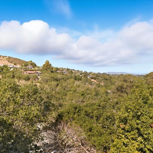 32-View